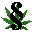  Cannabis und Recht; 
Ein paradoxer Zustand