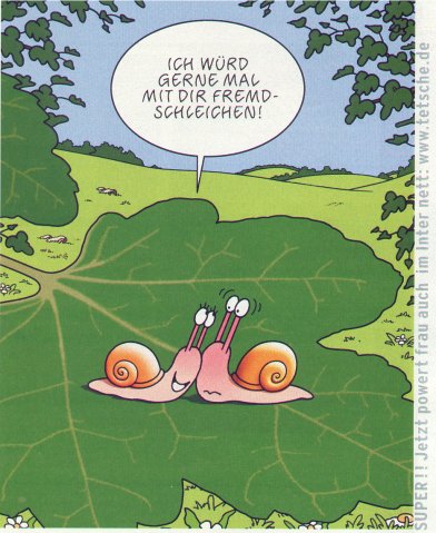  tetsche_schnecke2  (51 kb) 