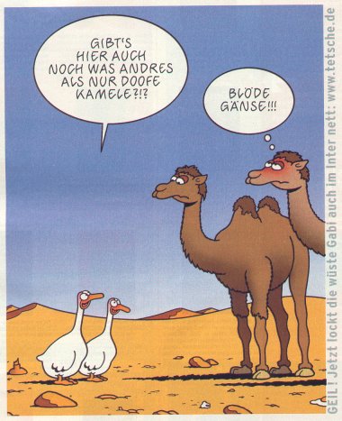  tetsche_kamel.jpg  (45 kb) 