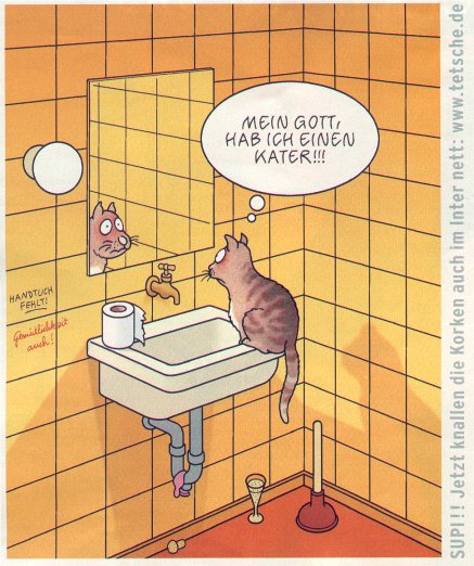  tetsche_kater.jpg  (65 kb) 