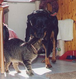  "Na, was hast Du den nu' mit mir vor?"  (16 kb) 