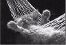  catmat.jpg (45 kb) 