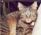 samguckx.jpg (27 kb) 