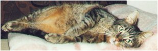  "Schmus mit mir" 